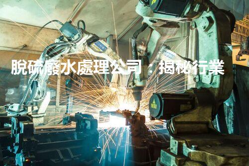 脫硫廢水處理公司：揭秘行業(yè)內(nèi)幕與以后趨勢？